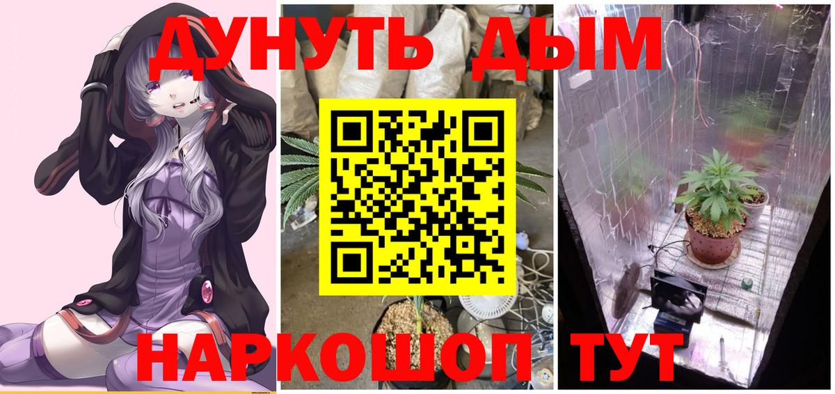 Конопля планчик  Вход с VPN  Марихуана Ganja  Бошки марихуана марихуана  Киров 